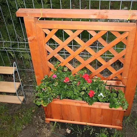 Hotel-hostel Mignon -private With Free Parking Mamaia