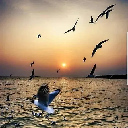 Hotel-hostel Mignon -private With Free Parking Casa de hóspedes